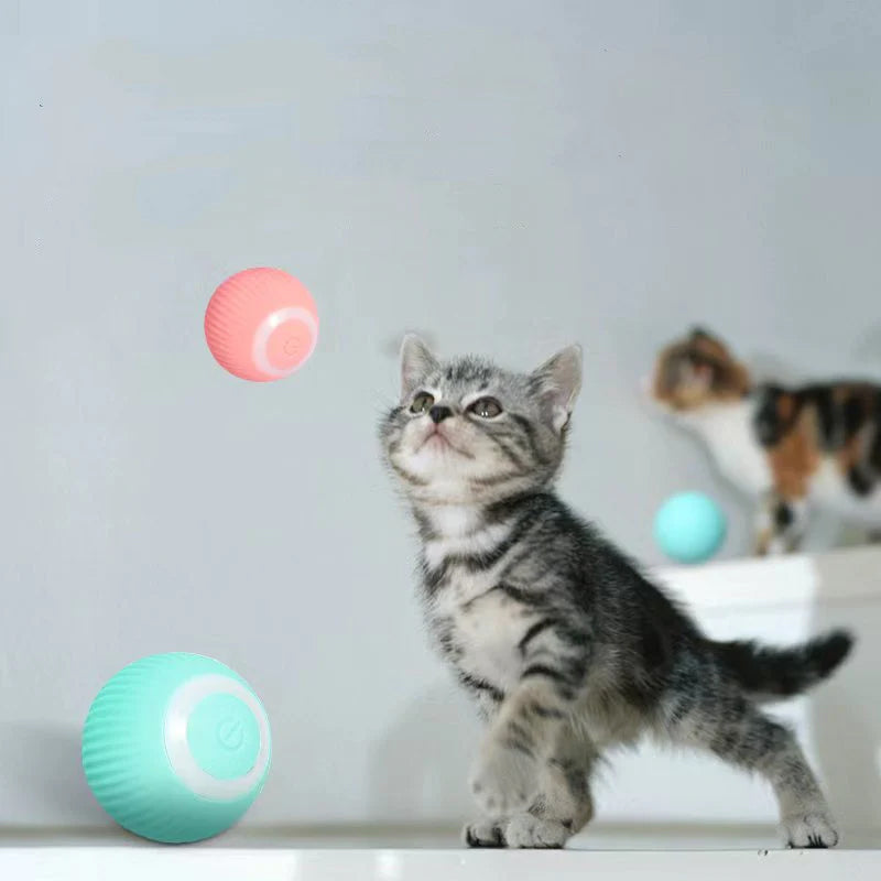 Smart Cat Interactive Ball Toys