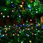 Outdoor Solar String Lights