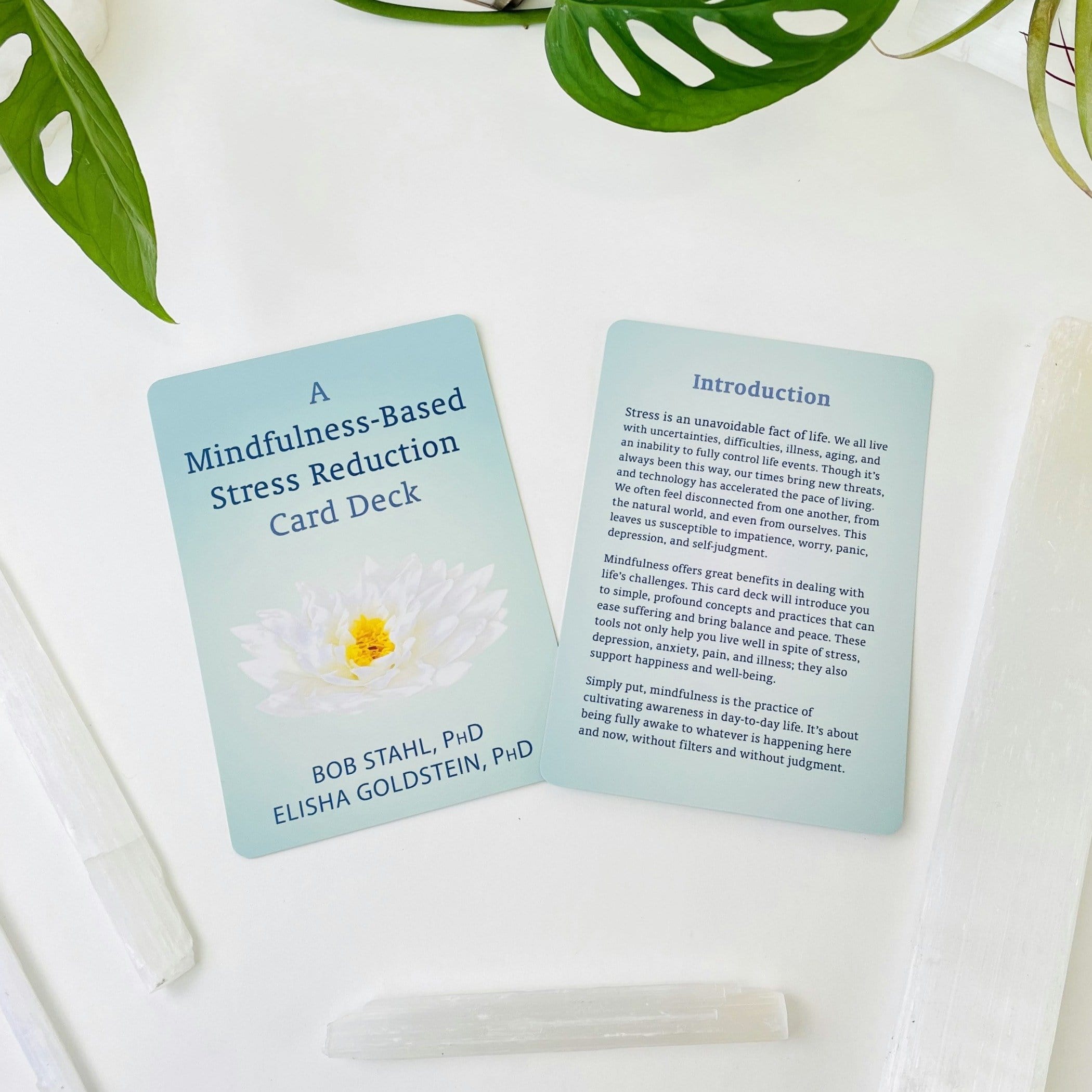 A Mindfulness-Based Stress Reduction Card Deck - (CARDDECK-23)