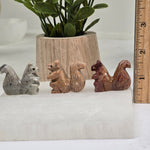 Soapstone Squirrel Carving from Peru - You Choose Color