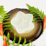 Selenite Dish - Star Flower Bowl - Reiki Star Charging Bowl - Altar Plate Charging Station