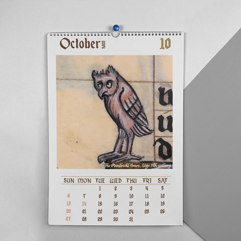 Weird Medieval Owl Calendar 2024