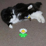 Interactive Bird Toy For Cats