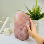 Extra Large Rose Quartz Freeform Cut Base Crystal