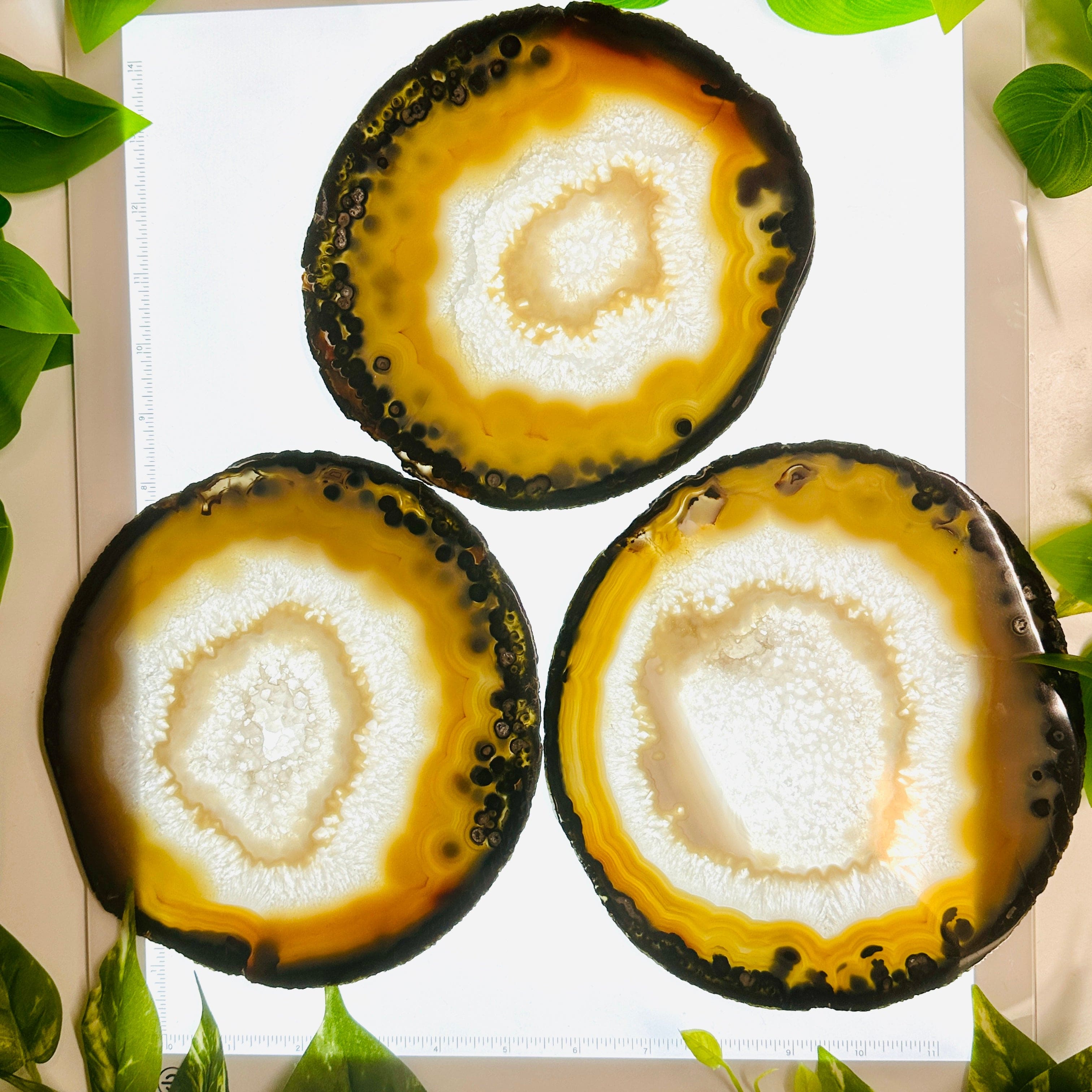 Agate Slice Set - Set of Nine Agate Crystals A grade Agates