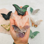 3D Gemstone Carved Crystal Butterfly - YOU CHOOSE STONE