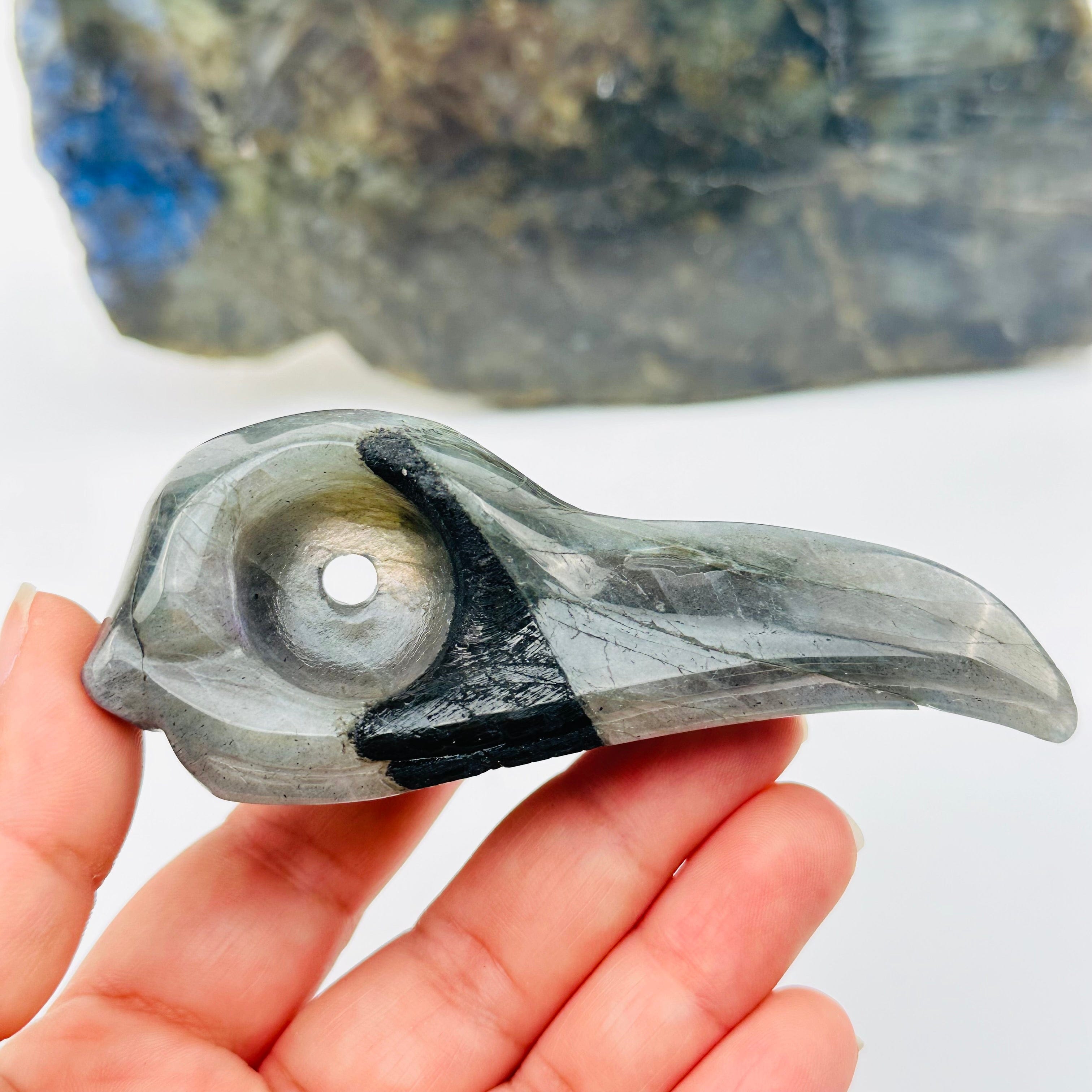 Carved Labradorite Crystal Raven Skull Head