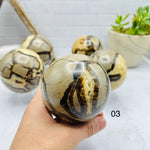 Polished Septarian Sphere - You Choose