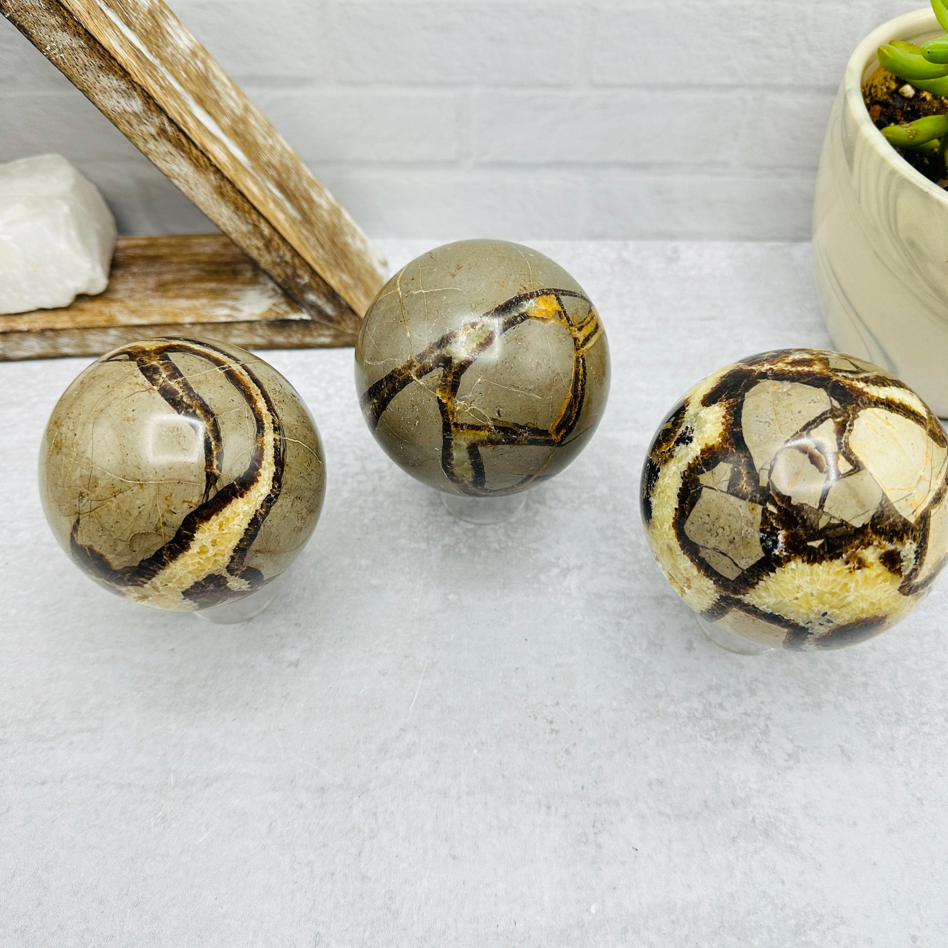 Septarian Sphere - You Choose