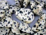 5 pc Dalmatian Jasper Crystal Chips-- Tumbled Dalmatian Jasper Chips