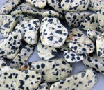 5 pc Dalmatian Jasper Crystal Chips-- Tumbled Dalmatian Jasper Chips