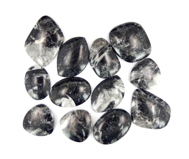 Orthoceras -- Free-form Black Jasper Cabochons (RK36B18-08)