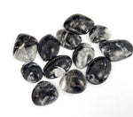 Orthoceras -- Free-form Black Jasper Cabochons (RK36B18-08)