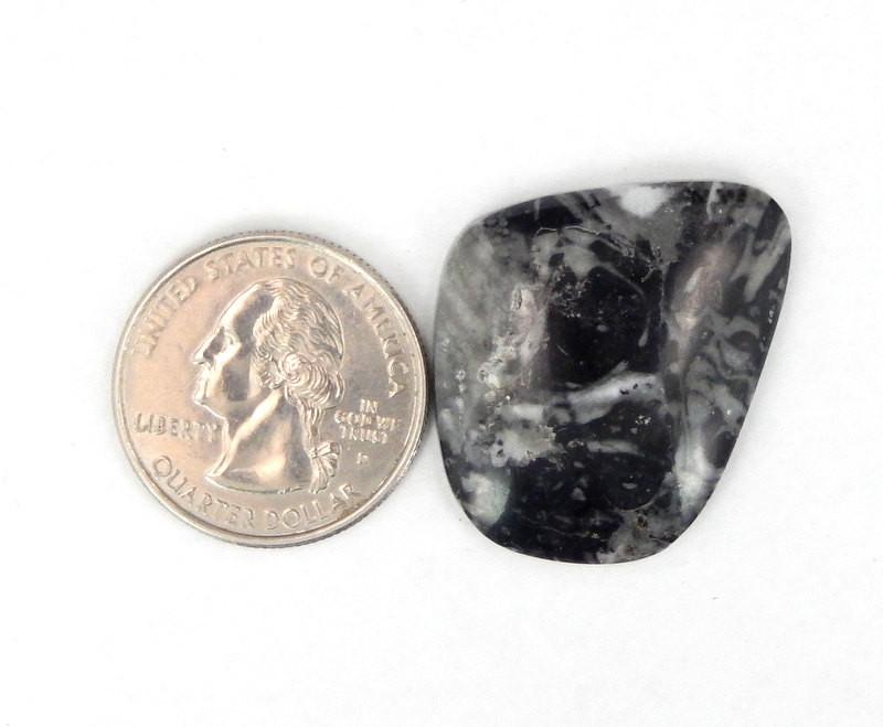 Orthoceras -- Free-form Black Jasper Cabochons (RK36B18-08)